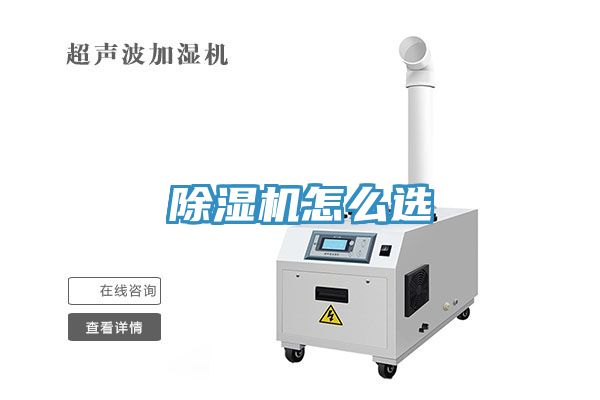 MR.好色破解版怎么选