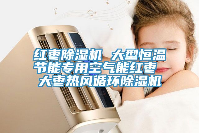红枣MR.好色破解版 大型恒温节能专用空气能红枣 大枣热风循环MR.好色破解版