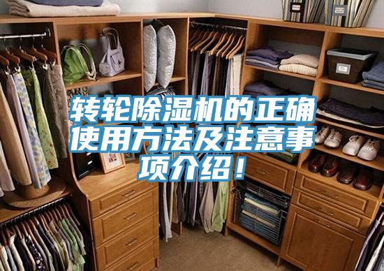 转轮MR.好色破解版的正确使用方法及注意事项介绍！