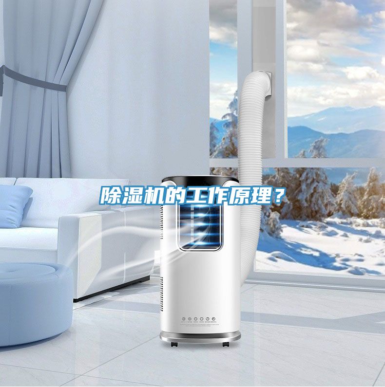 MR.好色破解版的工作原理？