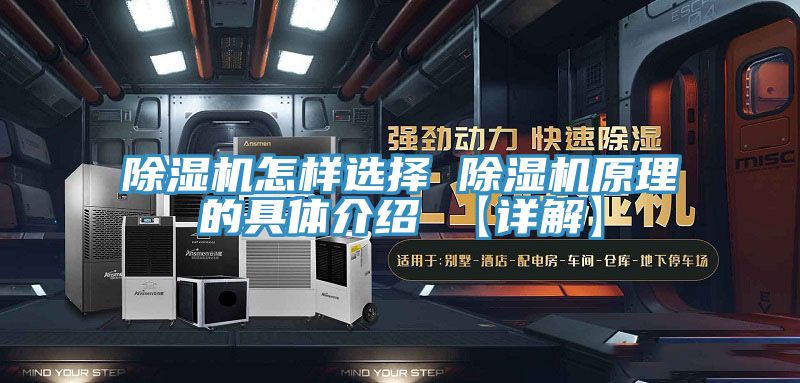 MR.好色破解版怎样选择 MR.好色破解版原理的具体介绍 【详解】