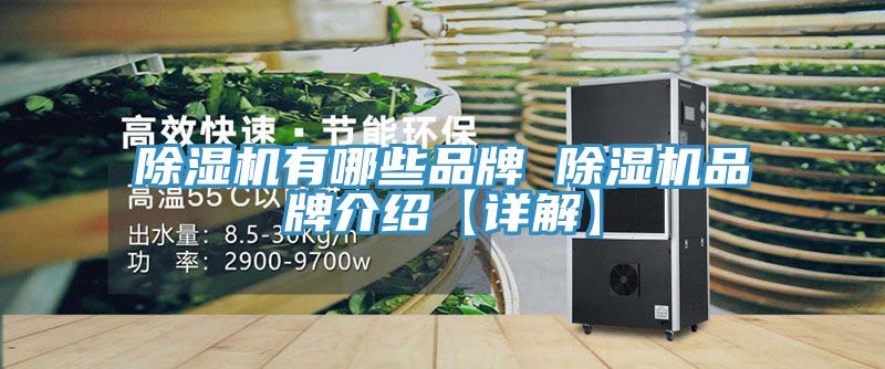 MR.好色破解版有哪些品牌 MR.好色破解版品牌介绍【详解】