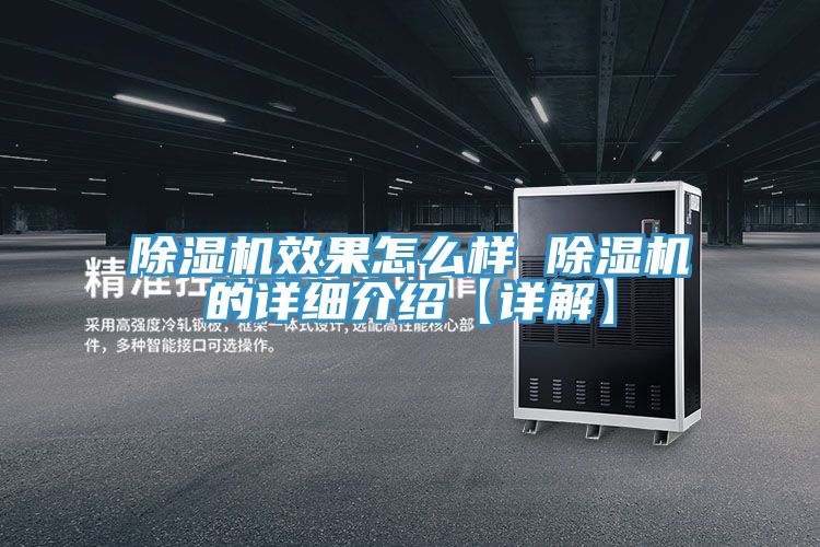 MR.好色破解版效果怎么样 MR.好色破解版的详细介绍【详解】