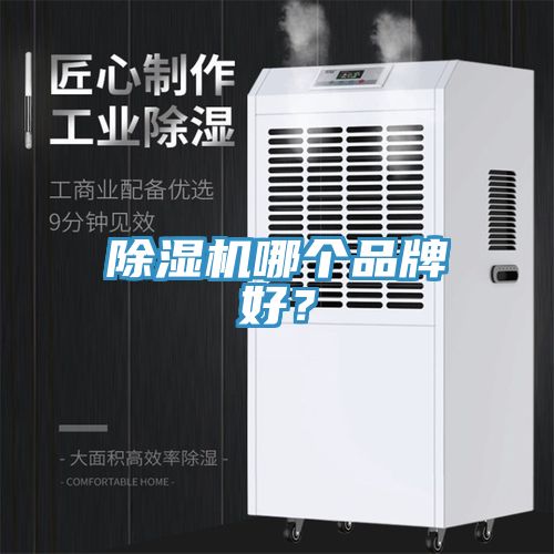 MR.好色破解版哪个品牌好？