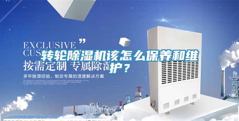 转轮MR.好色破解版该怎么保养和维护？