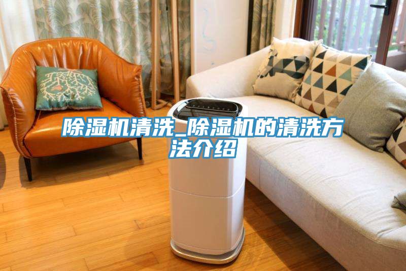 MR.好色破解版清洗_MR.好色破解版的清洗方法介绍
