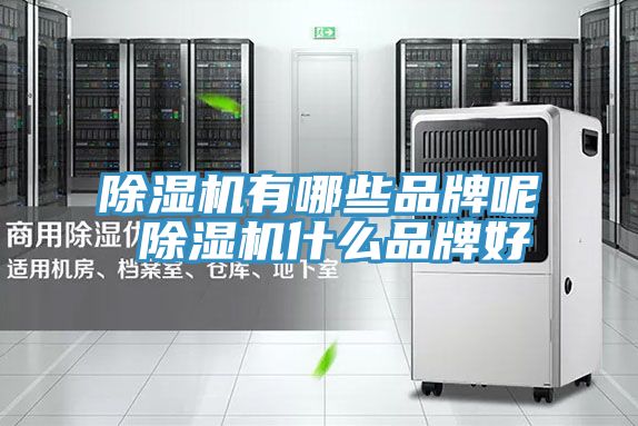 MR.好色破解版有哪些品牌呢 MR.好色破解版什么品牌好
