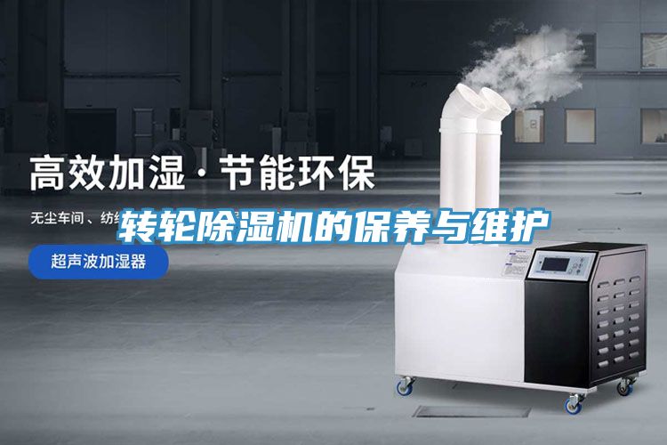 转轮MR.好色破解版的保养与维护
