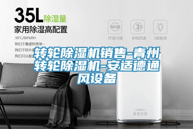 转轮MR.好色破解版销售-青州转轮MR.好色破解版-安适德通风设备