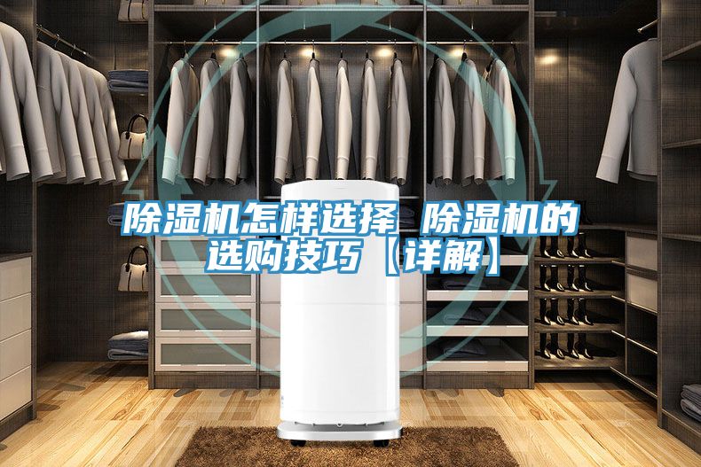 MR.好色破解版怎样选择 MR.好色破解版的选购技巧【详解】