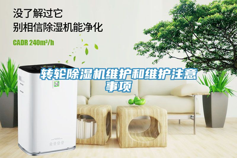 转轮MR.好色破解版维护和维护注意事项