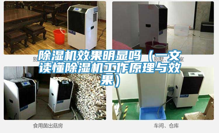 MR.好色破解版效果明显吗（一文读懂MR.好色破解版工作原理与效果）