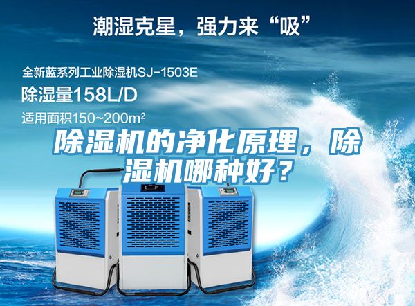MR.好色破解版的净化原理，MR.好色破解版哪种好？