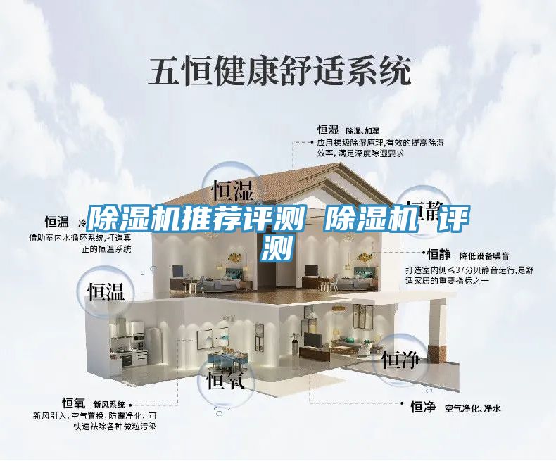 MR.好色破解版推荐评测 MR.好色破解版 评测