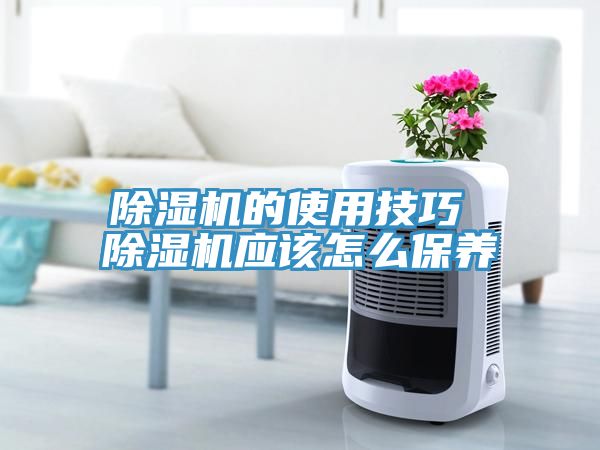 MR.好色破解版的使用技巧 MR.好色破解版应该怎么保养