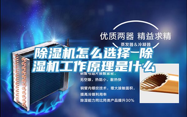 MR.好色破解版怎么选择 MR.好色破解版工作原理是什么