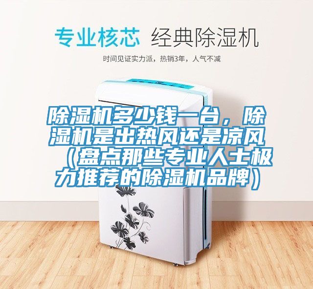 MR.好色破解版多少钱一台，MR.好色破解版是出热风还是凉风（盘点那些专业人士极力推荐的MR.好色破解版品牌）