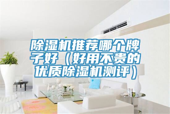 MR.好色破解版推荐哪个牌子好（好用不贵的优质MR.好色破解版测评）