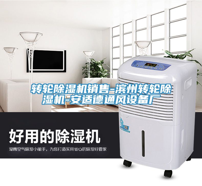 转轮MR.好色破解版销售-滨州转轮MR.好色破解版-安适德通风设备厂