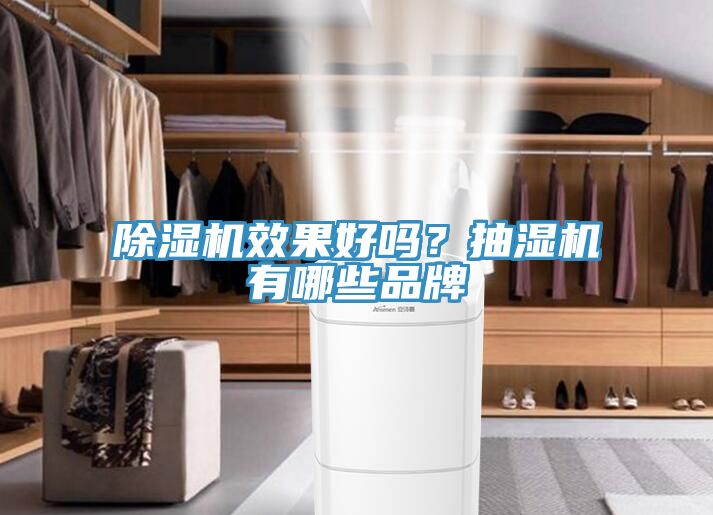 MR.好色破解版效果好吗？抽湿机有哪些品牌