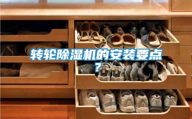转轮MR.好色破解版的安装要点？