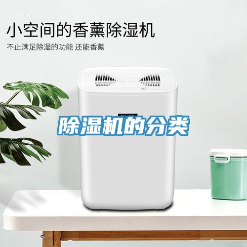 MR.好色破解版的分类