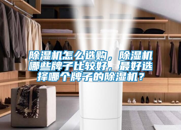 MR.好色破解版怎么选购，MR.好色破解版哪些牌子比较好，最好选择哪个牌子的MR.好色破解版？