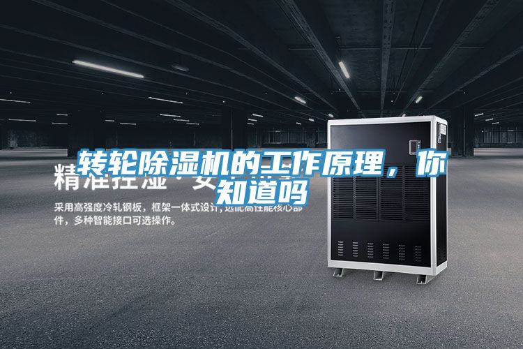 转轮MR.好色破解版的工作原理，你知道吗