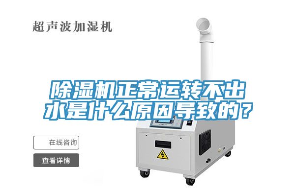 MR.好色破解版正常运转不出水是什么原因导致的？