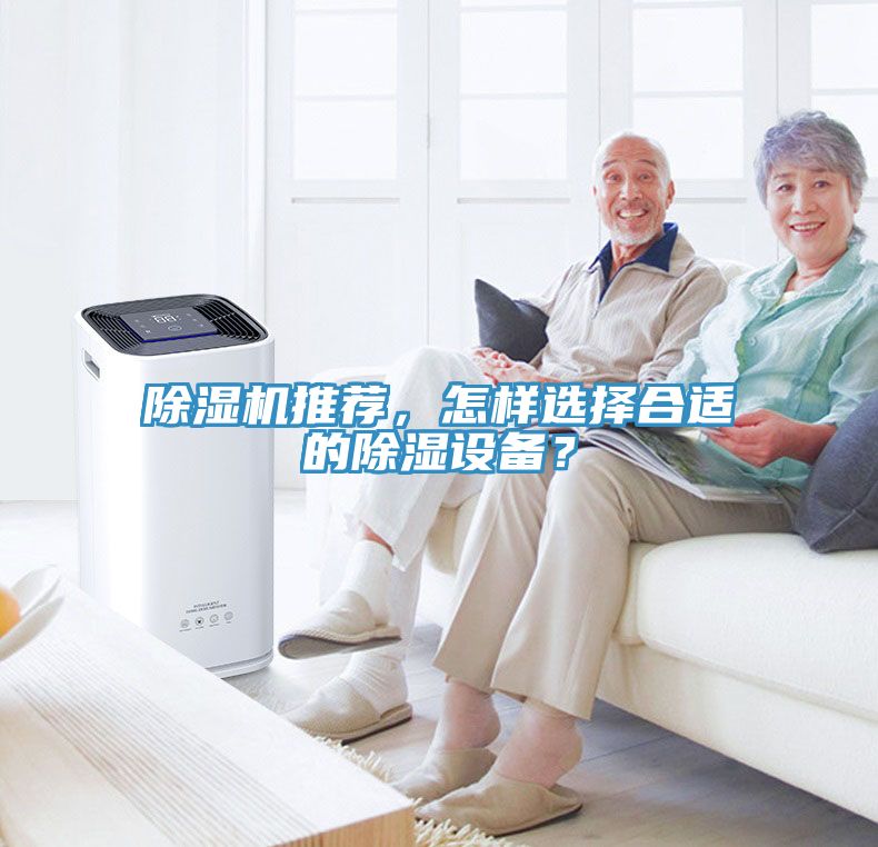 MR.好色破解版推荐，怎样选择合适的除湿设备？