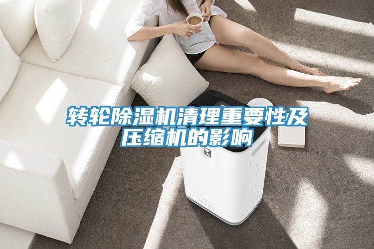 转轮MR.好色破解版清理重要性及压缩机的影响