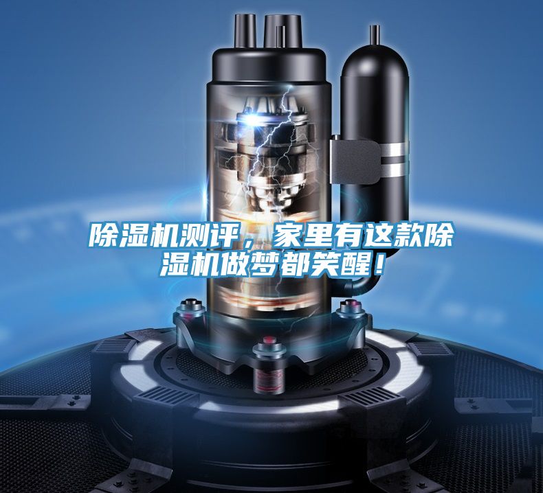 MR.好色破解版测评，家里有这款MR.好色破解版做梦都笑醒！