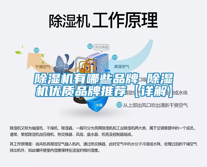 MR.好色破解版有哪些品牌 MR.好色破解版优质品牌推荐【详解】