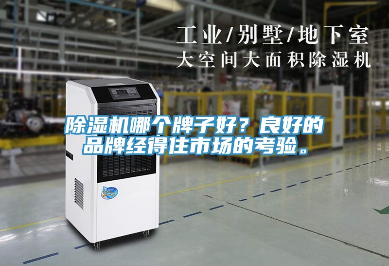 MR.好色破解版哪个牌子好？良好的品牌经得住市场的考验。