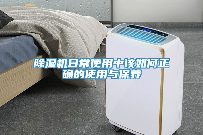 MR.好色破解版日常使用中该如何正确的使用与保养
