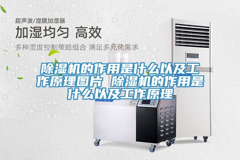 MR.好色破解版的作用是什么以及工作原理图片 MR.好色破解版的作用是什么以及工作原理