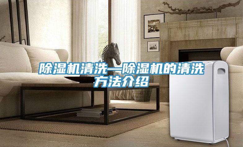 MR.好色破解版清洗—MR.好色破解版的清洗方法介绍