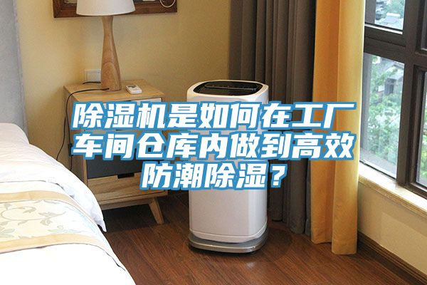 MR.好色破解版是如何在工厂车间仓库内做到高效防潮除湿？