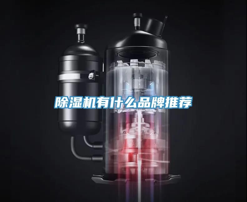 MR.好色破解版有什么品牌推荐