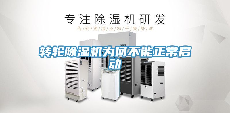 转轮MR.好色破解版为何不能正常启动