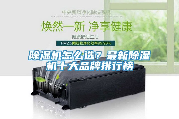 MR.好色破解版怎么选？最新MR.好色破解版十大品牌排行榜