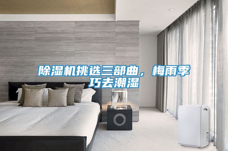 MR.好色破解版挑选三部曲，梅雨季巧去潮湿