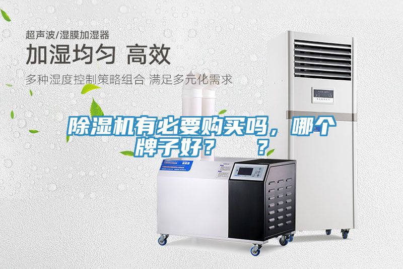 MR.好色破解版有必要购买吗，哪个牌子好？  ？