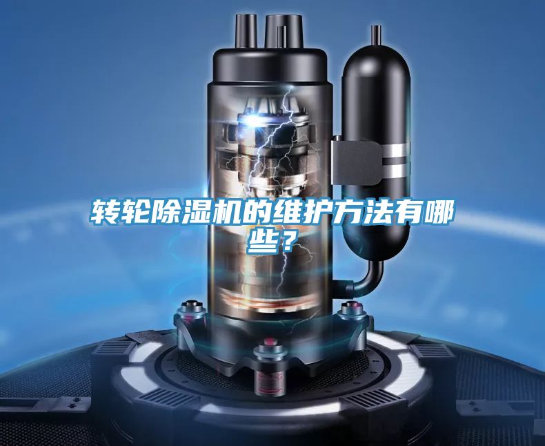 转轮MR.好色破解版的维护方法有哪些？