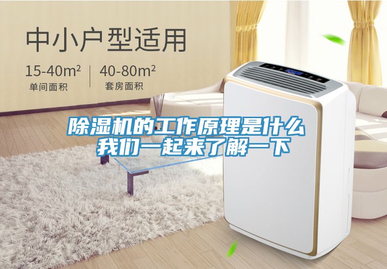 MR.好色破解版的工作原理是什么 好色先生TV下载网站一起来了解一下