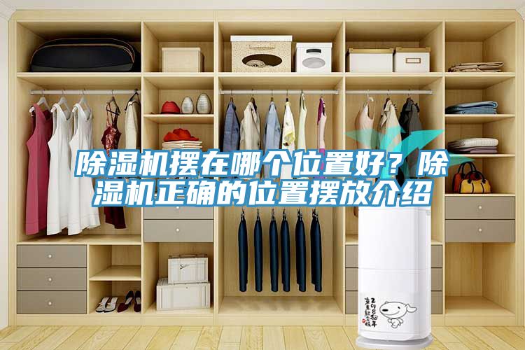 MR.好色破解版摆在哪个位置好？MR.好色破解版正确的位置摆放介绍