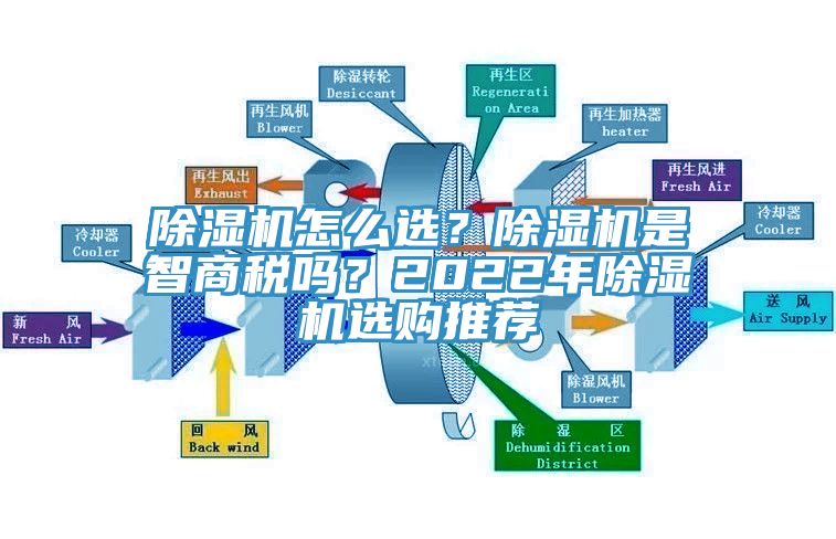 MR.好色破解版怎么选？MR.好色破解版是智商税吗？2022年MR.好色破解版选购推荐