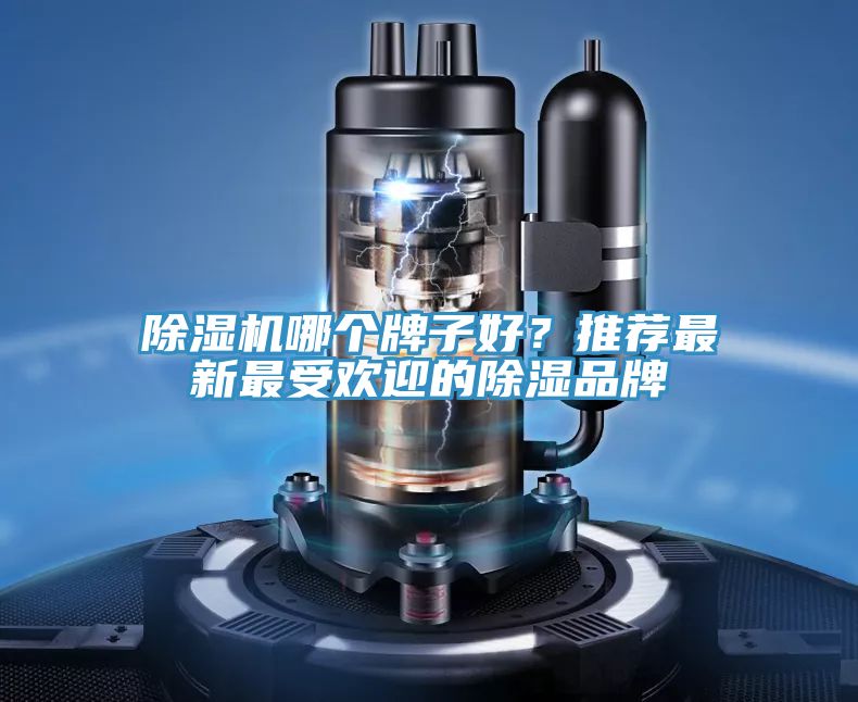 MR.好色破解版哪个牌子好？推荐最新最受欢迎的除湿品牌