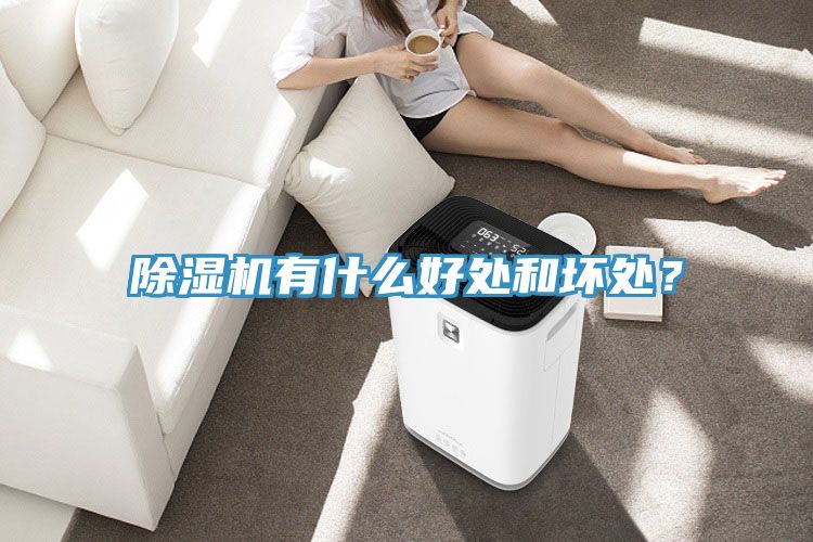 MR.好色破解版有什么好处和坏处？