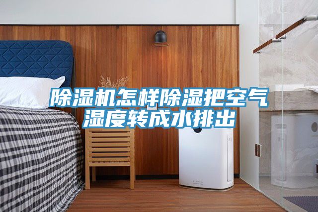 MR.好色破解版怎样除湿把空气湿度转成水排出